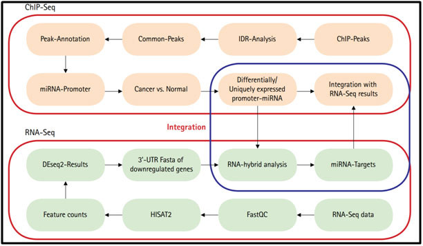Chip and RNA Sequence