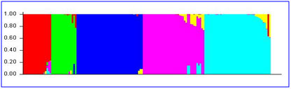 Phylogenetic tree of Mycobacterium