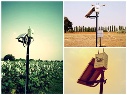 Ubiquitous Agriculture