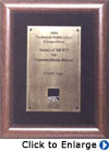Merit Award
